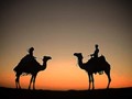 Camel Riding (2 hrs) 